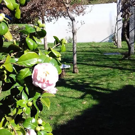 5 Bedrooms House With Sea View Shared Pool And Enclosed Garden At Cristelo 2 Km Away From The